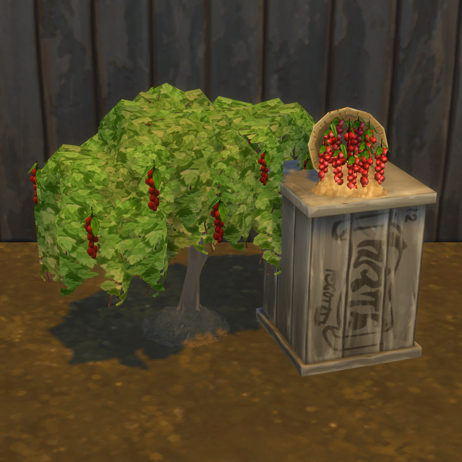 Red Currant Harvestable & Plant logo