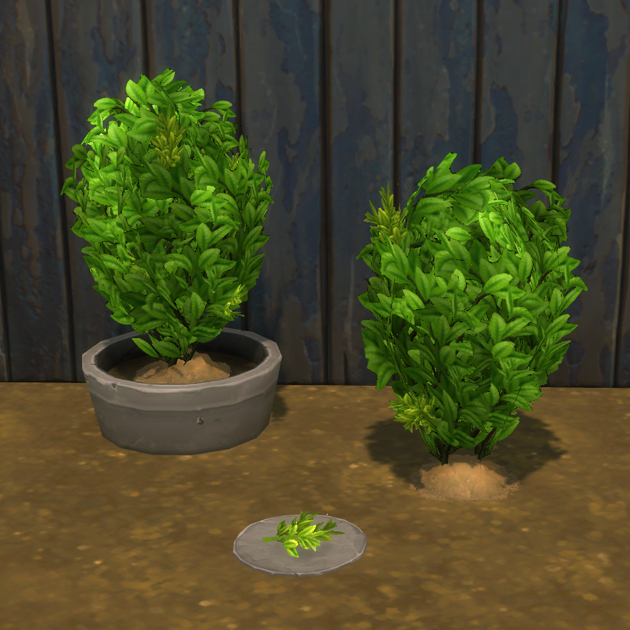 Tea Leaves Harvestable & Plant logo