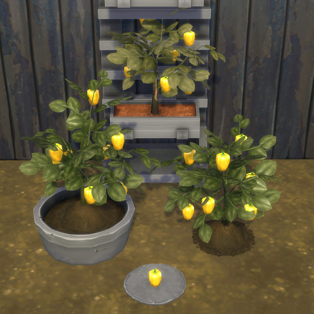 Yellow Bell Pepper Harvestable & Plant logo