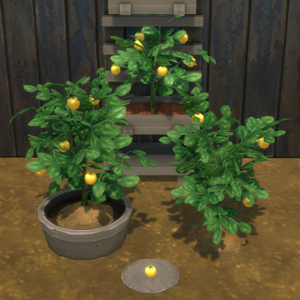 Yellow Tomato Harvestable & Plant logo