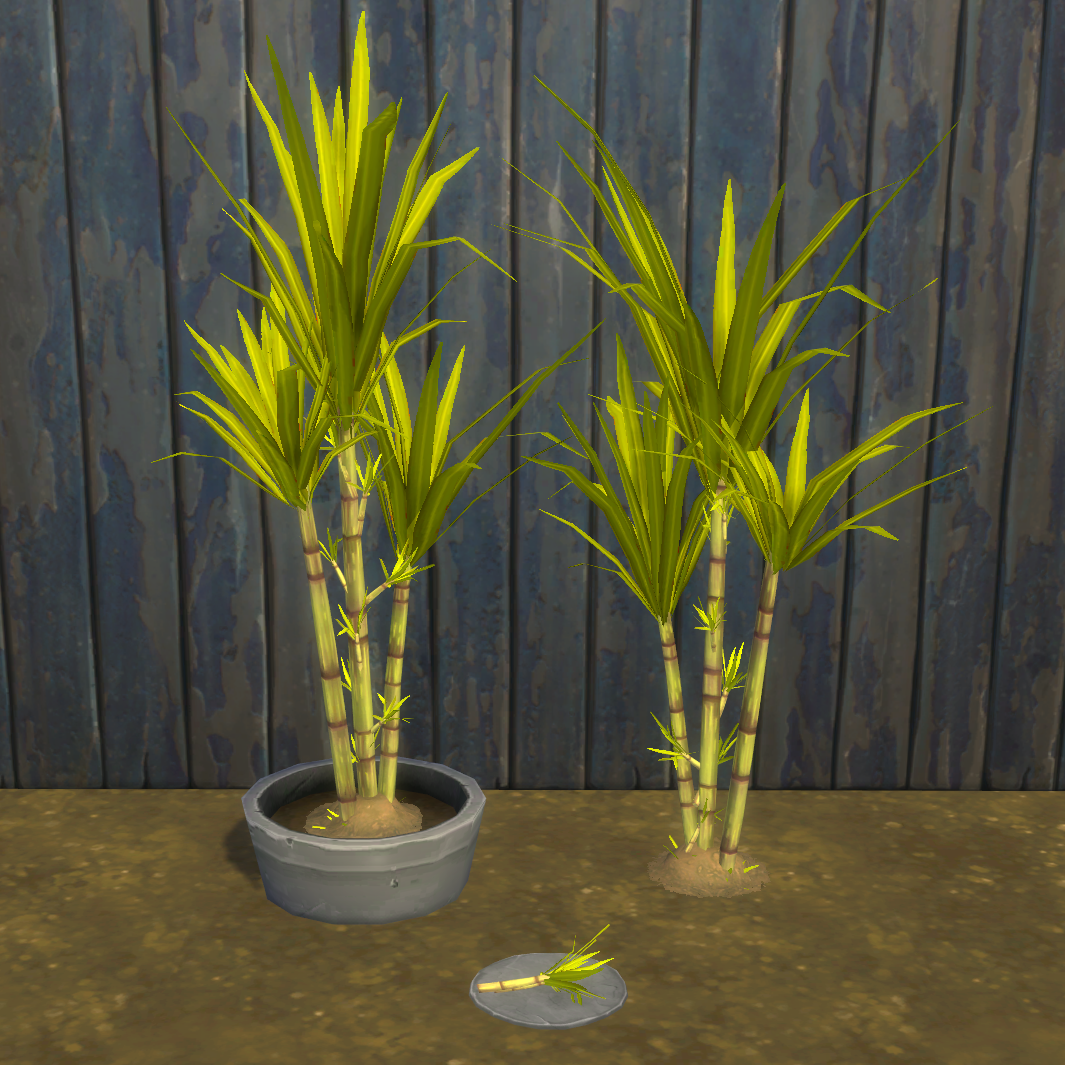 Sugar Cane Harvestable & Plant logo