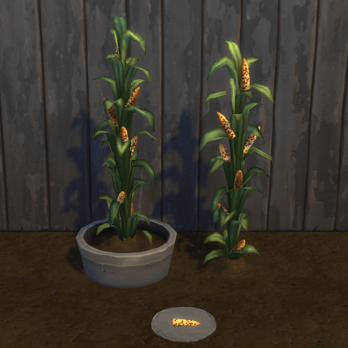 sweet-corn-harvestable-plant-the-sims-4-mods-curseforge