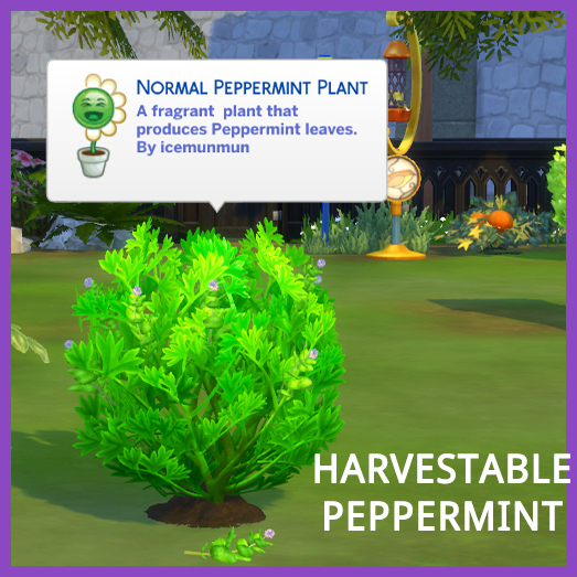 Harvestable Peppermint logo