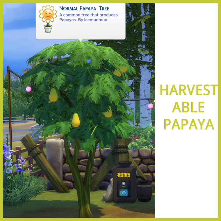 Mod Papayas