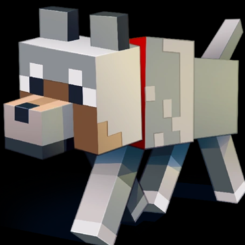 MoreDogs