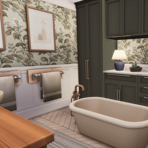 Country Bathroom project avatar