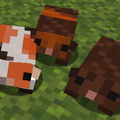 Minecraft 2024 guinea pig