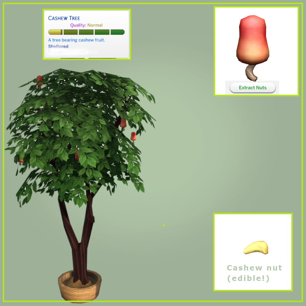 Install Cashew Harvestable The Sims 4 Mods CurseForge install-cashew-harvestable-the-sims-4-mods-curseforge
