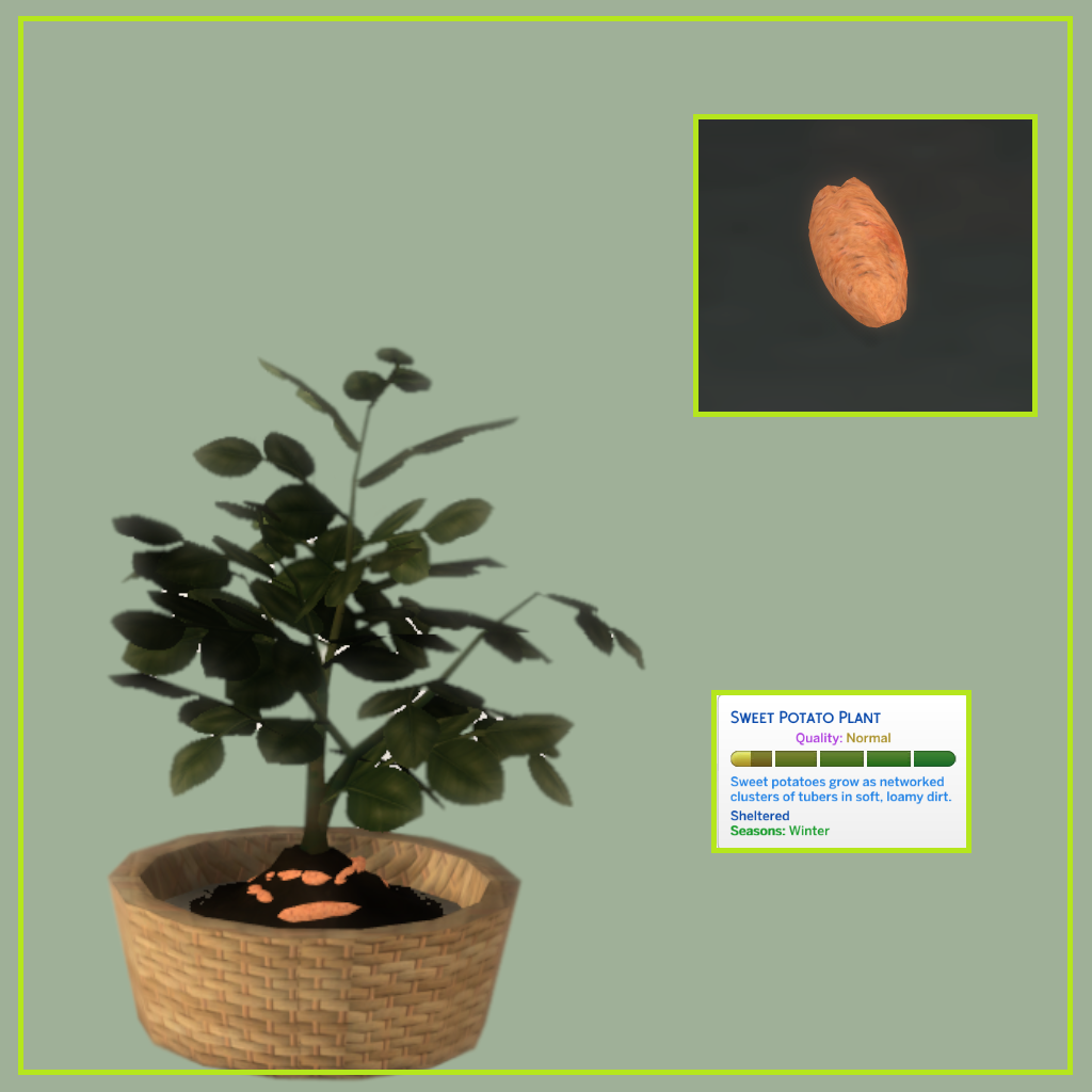 Sweet Potato (Harvestable) - The Sims 4 Mods - CurseForge
