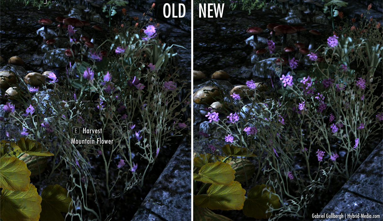 Download Hybrids Hires Plants and Herbs Retexture WIP The Elder
