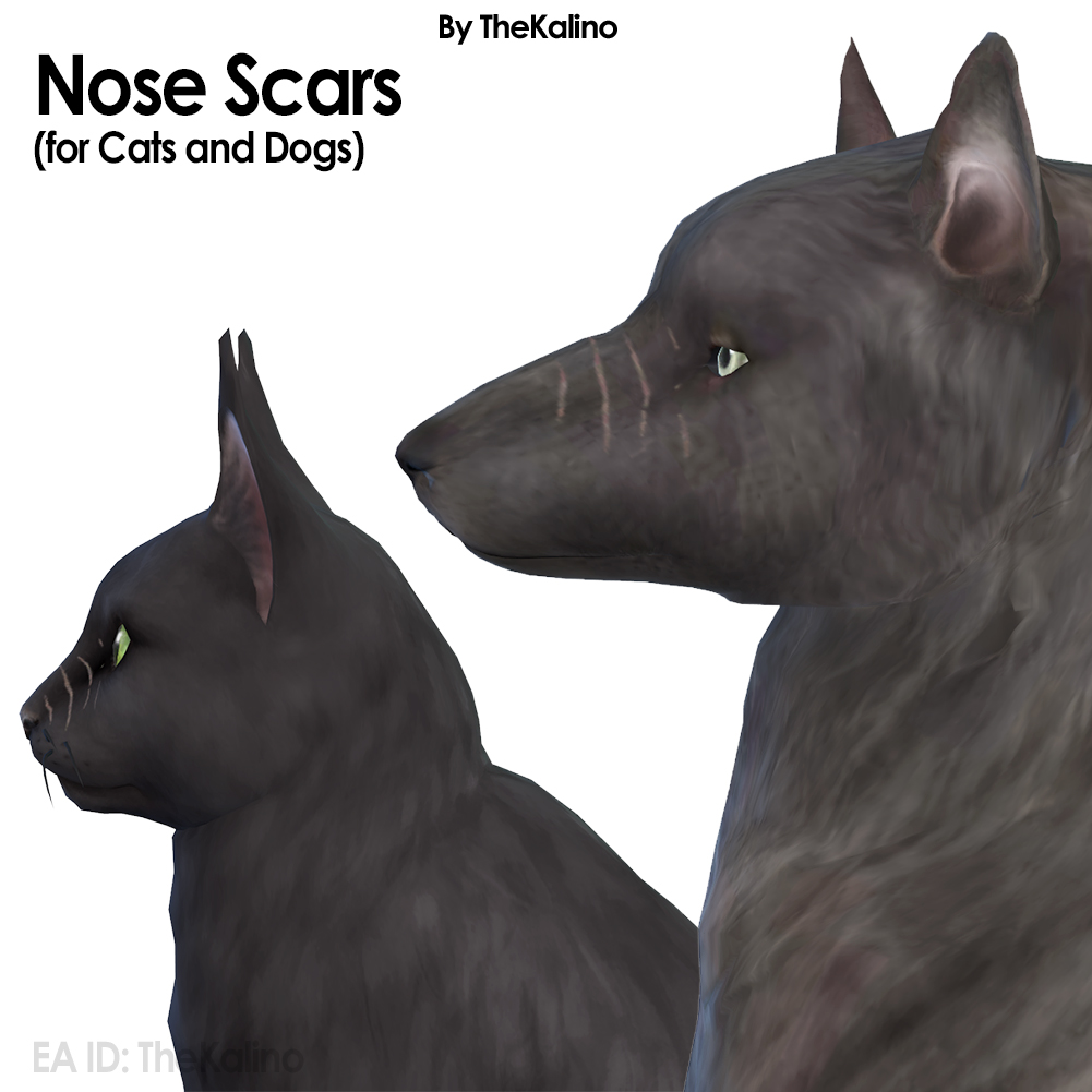 Nose Scars project avatar