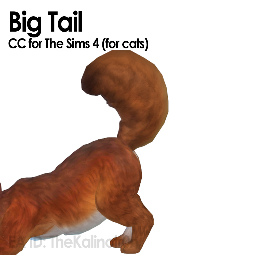 Big Tail project avatar
