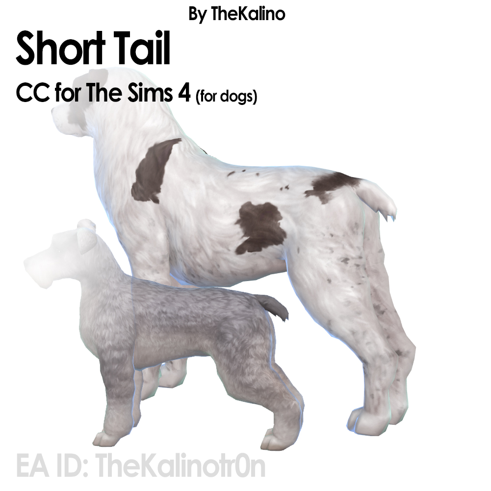 Short Tail (Dogs) project avatar