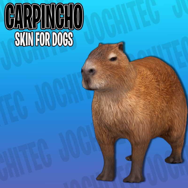 Capibara skin by Jochi project avatar
