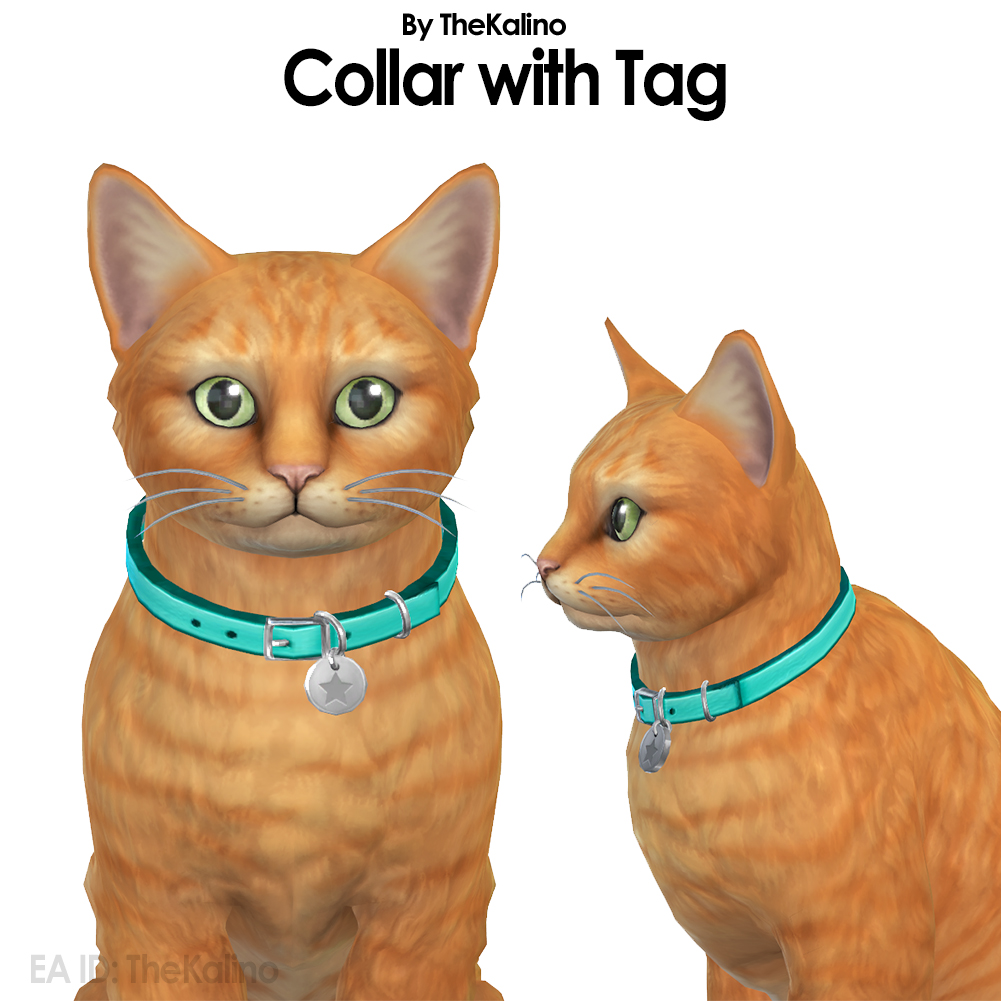 Collar with Tag project avatar