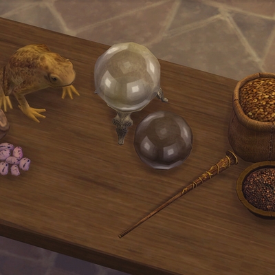 ZxTa -  Medieval witch items - logo