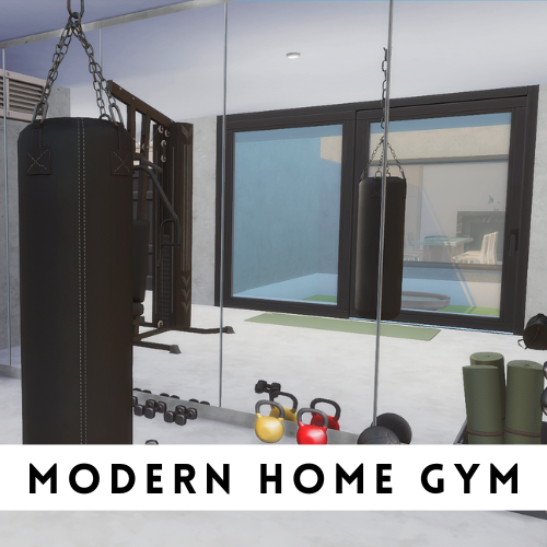 Modern Home Gym project avatar