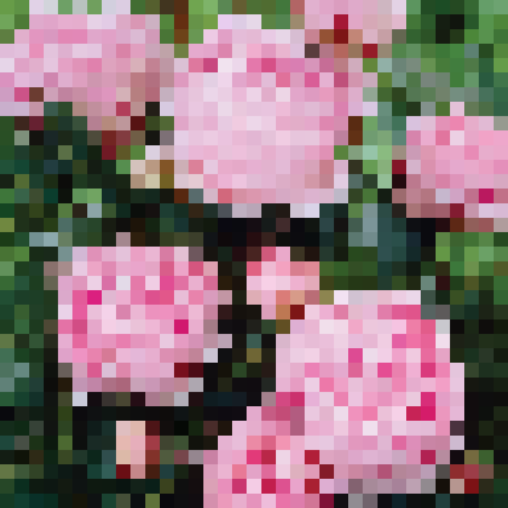 Wilderlands 1.19.4 icon