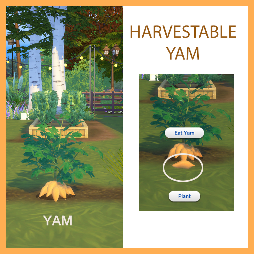 Harvestable Yam logo