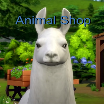 Pet Shop / Animal Shop Spanish Translation
