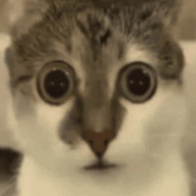 NPLX - Thermal Create+