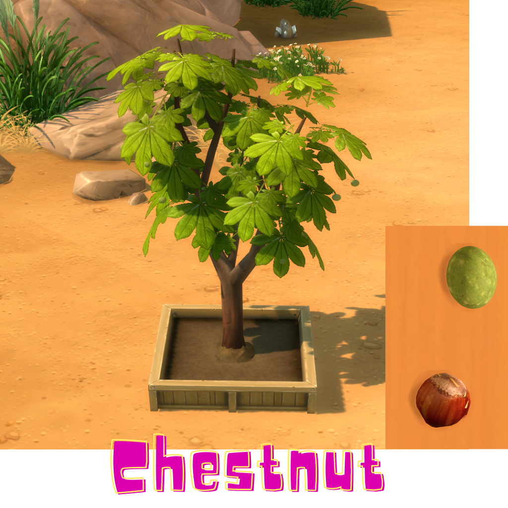 Chestnut Harvestable The Sims 4 Mods CurseForge celery-hydroponics-nepal-shop