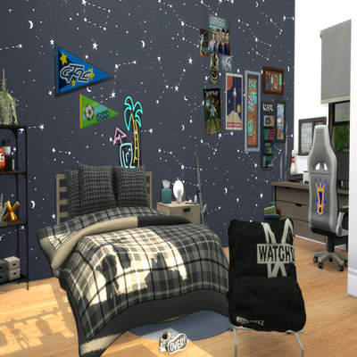 Teen Boys Bedroom project avatar