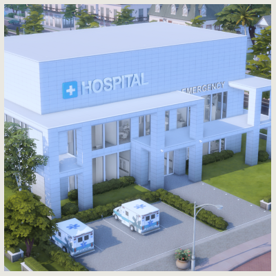 ღ Snowflake hospital center project avatar