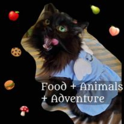 Food, Animals & Adventure