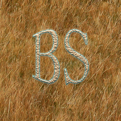 Bad Skill logo