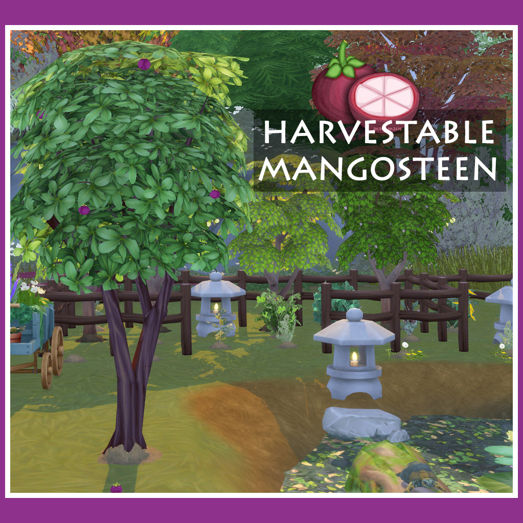 Harvestable Mangosteen logo