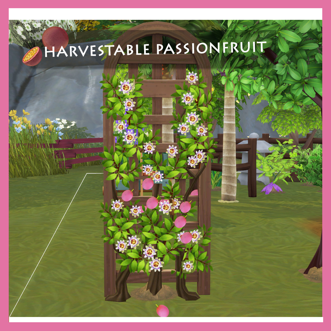 Harvestable Passionfruit logo
