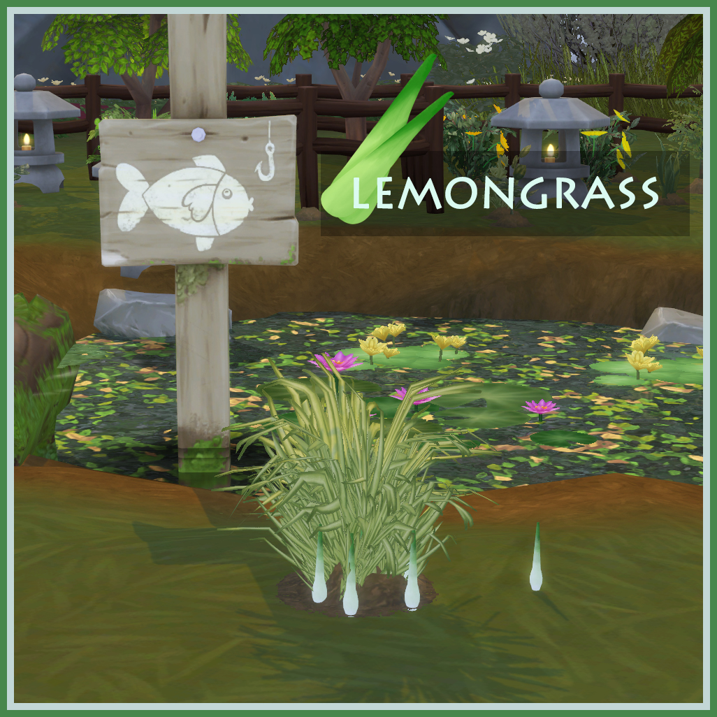 Harvestable Lemongrass logo