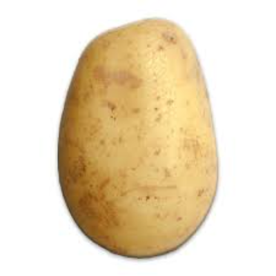 The Random Potato logo