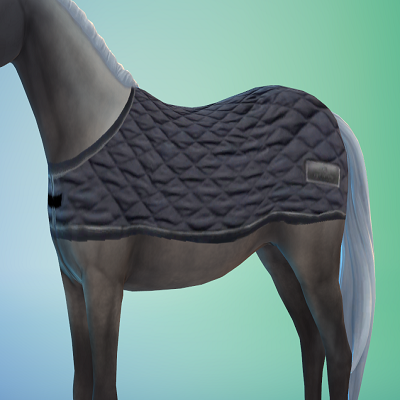 Horse blanket / riding blanket (Pferdedecke / Ausreitdecke) project avatar