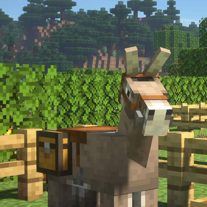 DWE's Explorers' Paradise