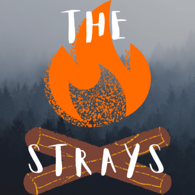 The Strays SMP 1.20.1