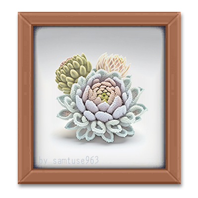 Succulents Woven Decor Frame #4 Samtuse963 logo