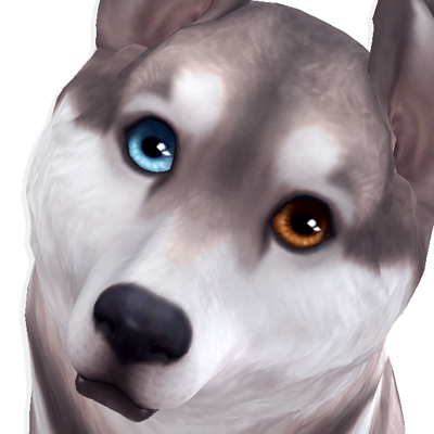 Soulmate Eyes for Cats and Dogs (default) project avatar