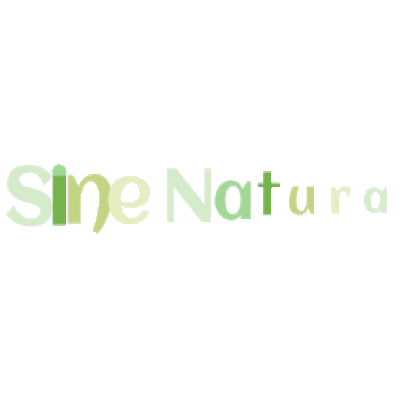 New Creativity: Sine Natura