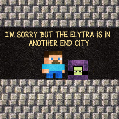 I'm sorry but the Elytra is in another End City