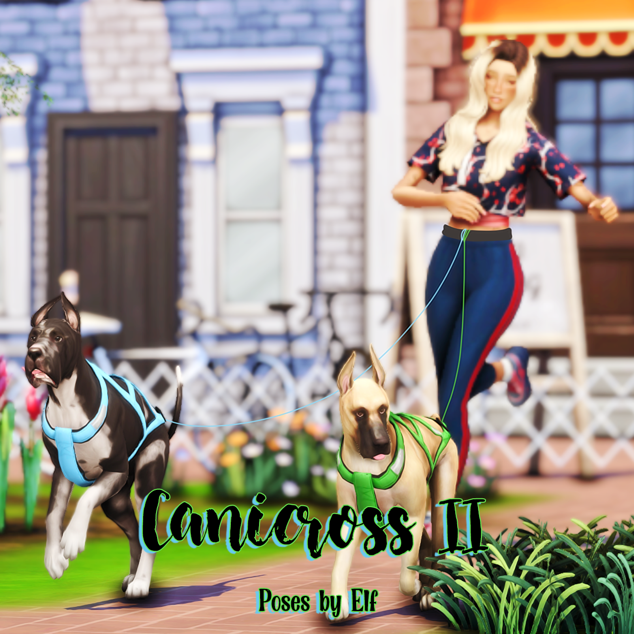 Canicross II 🎽 logo