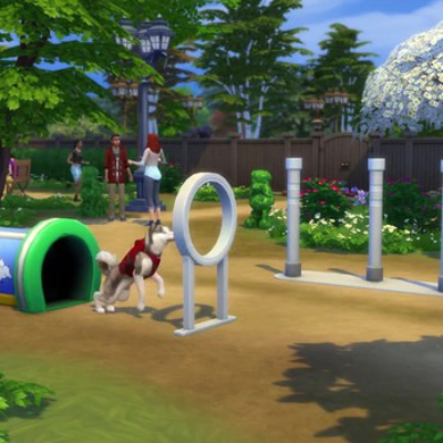 Pet  Careers by Adeepindogo Spanish Translation