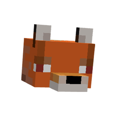 Don't hit fox