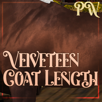 [PW] Velveteen Horse Coat Length project avatar