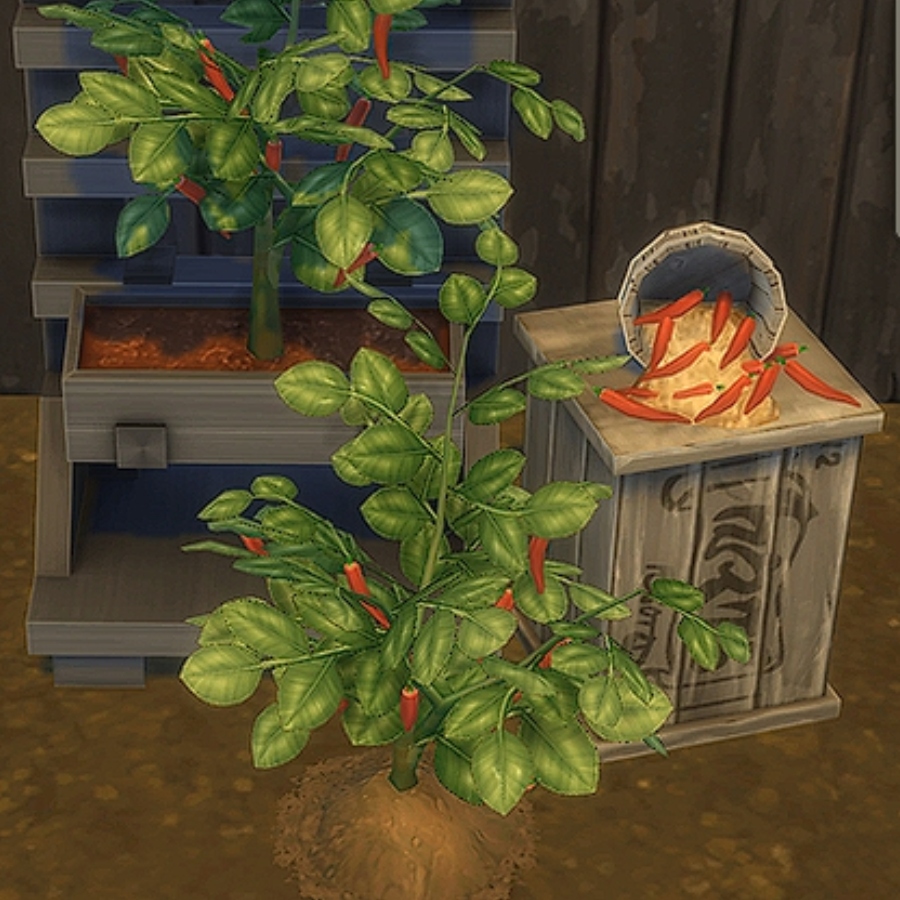 Cayenne Pepper by BrazenLotus Spanish translation The Sims 4 Mods