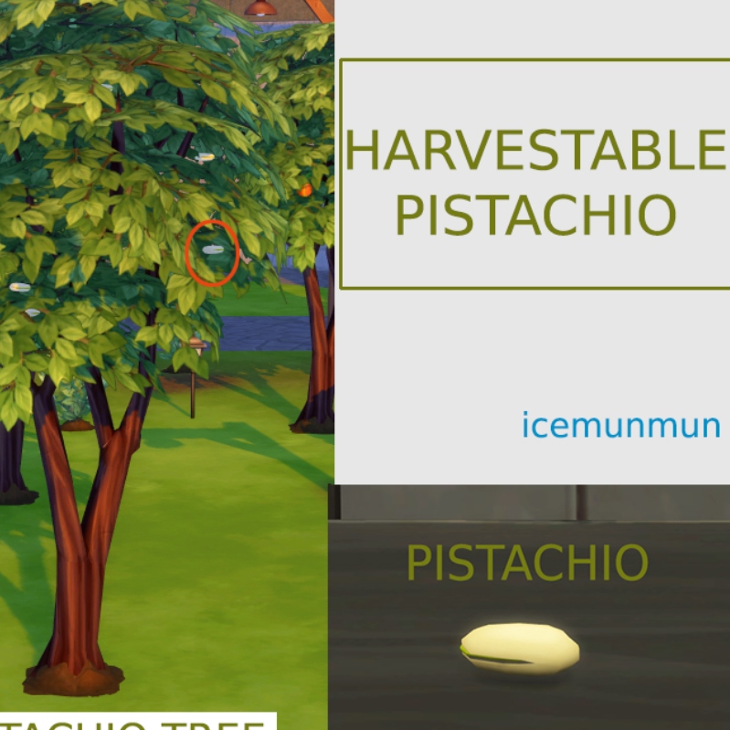 Download Custom harvestable pistachio By icemunmun Spanish translation