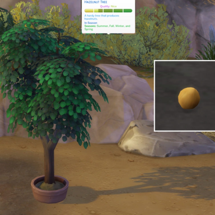 Hazelnut (Harvestable) by Pied Piper Spanish translation Screenshots