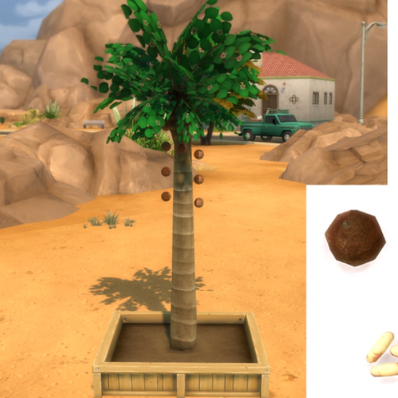 Brazil Nut (harvestable)by Pied Piper Spanish translation The Sims 4