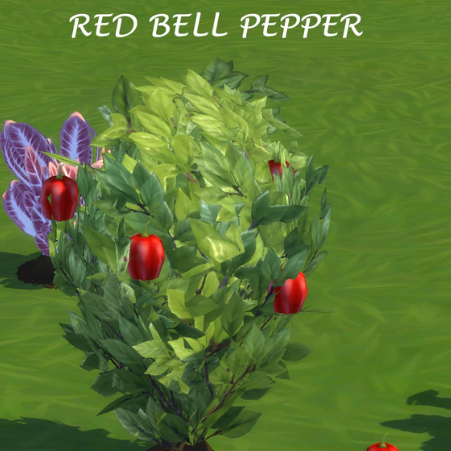 RED PEPPER by icemunmun Spanish translation The Sims 4 Mods